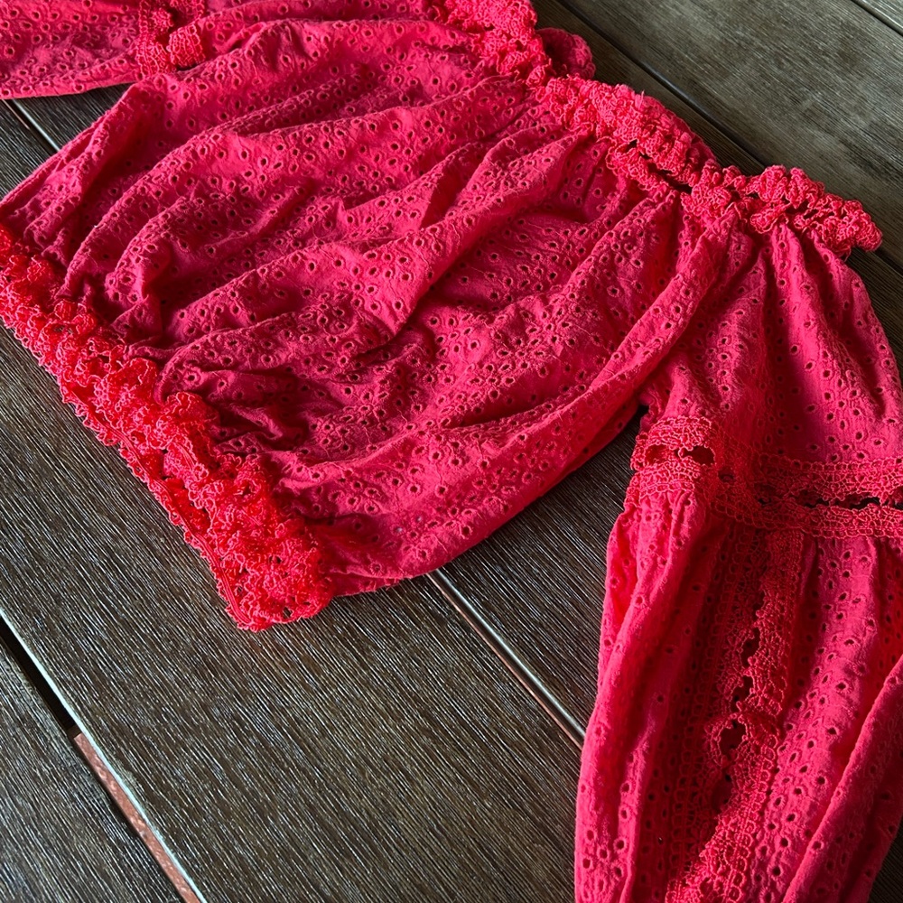 Saks Fifth Avenue Scarlet Eyelet Crop Top